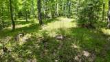 Lt1 Federal Forest Road - Photo 2