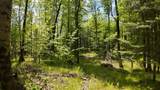 Lt1 Federal Forest Road - Photo 27