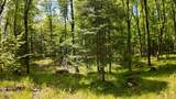 Lt1 Federal Forest Road - Photo 28
