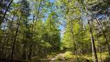 Lt1 Federal Forest Road - Photo 29