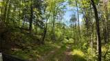 Lt1 Federal Forest Road - Photo 3