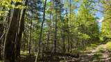 Lt1 Federal Forest Road - Photo 30
