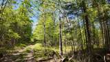 Lt1 Federal Forest Road - Photo 31
