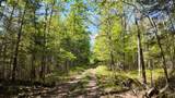 Lt1 Federal Forest Road - Photo 32