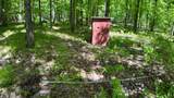 Lt1 Federal Forest Road - Photo 34