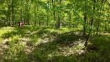 Lt1 Federal Forest Road - Photo 35