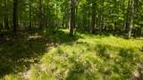 Lt1 Federal Forest Road - Photo 36