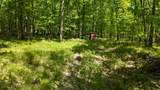 Lt1 Federal Forest Road - Photo 37