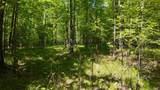 Lt1 Federal Forest Road - Photo 38