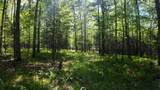 Lt1 Federal Forest Road - Photo 39