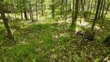 Lt1 Federal Forest Road - Photo 40