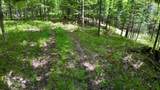 Lt1 Federal Forest Road - Photo 41