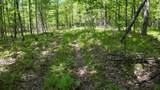 Lt1 Federal Forest Road - Photo 42