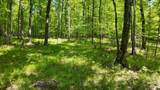 Lt1 Federal Forest Road - Photo 43
