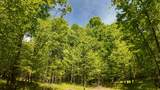 Lt1 Federal Forest Road - Photo 44