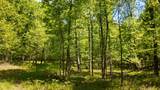 Lt1 Federal Forest Road - Photo 45