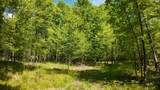 Lt1 Federal Forest Road - Photo 46