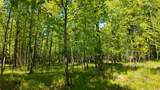 Lt1 Federal Forest Road - Photo 47