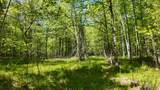 Lt1 Federal Forest Road - Photo 48