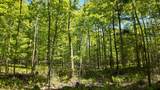 Lt1 Federal Forest Road - Photo 49