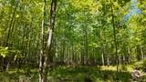 Lt1 Federal Forest Road - Photo 50