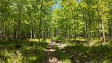 Lt1 Federal Forest Road - Photo 51