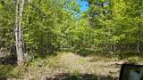 Lt1 Federal Forest Road - Photo 52