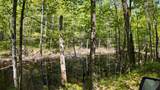 Lt1 Federal Forest Road - Photo 53