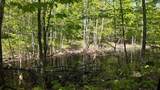 Lt1 Federal Forest Road - Photo 54