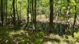 Lt1 Federal Forest Road - Photo 55