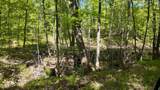 Lt1 Federal Forest Road - Photo 57
