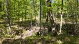 Lt1 Federal Forest Road - Photo 58