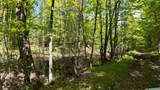 Lt1 Federal Forest Road - Photo 59