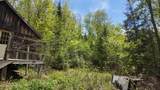 Lt1 Federal Forest Road - Photo 6