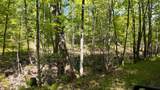 Lt1 Federal Forest Road - Photo 60