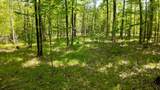 Lt1 Federal Forest Road - Photo 61