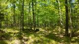 Lt1 Federal Forest Road - Photo 62