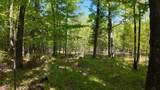 Lt1 Federal Forest Road - Photo 64