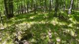 Lt1 Federal Forest Road - Photo 65