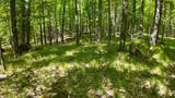 Lt1 Federal Forest Road - Photo 66