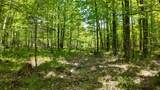 Lt1 Federal Forest Road - Photo 68