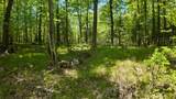 Lt1 Federal Forest Road - Photo 70