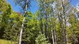 Lt1 Federal Forest Road - Photo 76