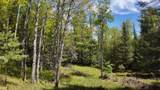 Lt1 Federal Forest Road - Photo 80