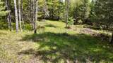 Lt1 Federal Forest Road - Photo 81