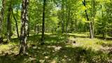 Lt1 Federal Forest Road - Photo 82