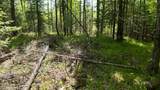 Lt1 Federal Forest Road - Photo 83