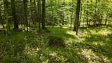 Lt1 Federal Forest Road - Photo 85