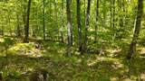 Lt1 Federal Forest Road - Photo 86