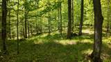 Lt1 Federal Forest Road - Photo 87